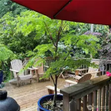 Mid summer photos provided by seller, yard and deck in all its glory!