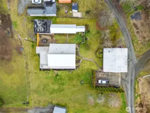 Mature fruit trees including 3 apple trees and 2 pear trees