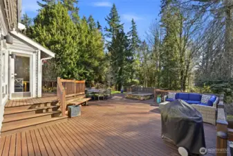 The deck behind this photo, is screened by plants, wired and ready for a future hot tub.