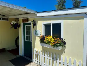 Shed with electricity