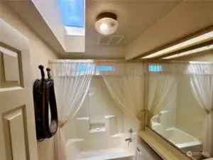 Skylight in guest bath