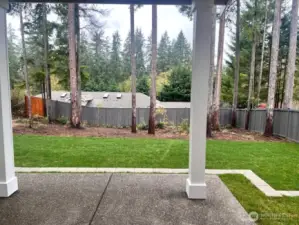 Photo of Actual Backyard 11/15/25