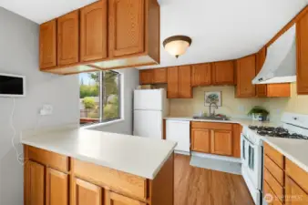 Kitchen has an island with plenty of storage and Corian counter tops.