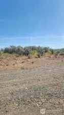 Driving up to Lot 12