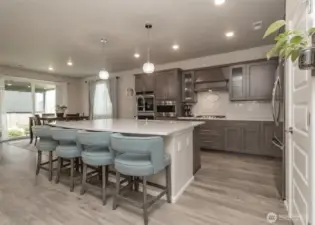 Spectacular kitchen with all the high-end appliances, cabinets, quarts counters and custom bling lighting