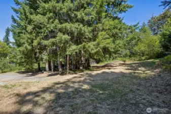 Circular drive area. Driveway is cleared and open all the way to the top of the property. You can see the road on the right side of the property.