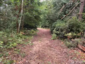 Driveway to the center of the lot.