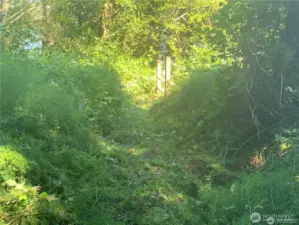 Lot 13 has the easement for beach access. The start of the stairs is in the background.