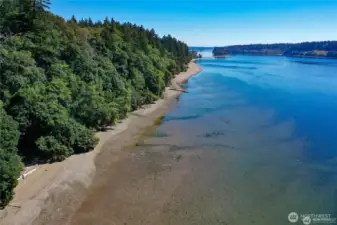 Looking down the community beach towards Driftwood Point. The small island in the middle of Pitt Passage would make an awesome kayak destination!