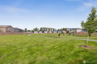 Open Green Space View from Front of Home