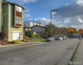 Feels like living in a treehouse