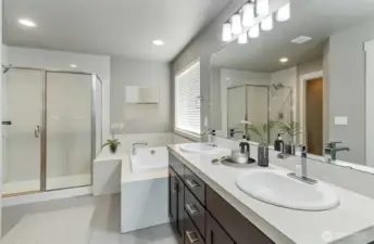 Primary Bath