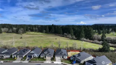 Your new home backs to this field- if you don't love the sounds of birds and the sight of glorious Mt. Rainier, don't visit this one. The ahhhh factor lives large and the peace and quiet will sooth you.