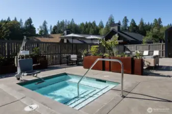 If hot tubs are more your thing- come on in.  EVERYTHING at The Ovation is impeccably maintained.  Crystal clear water and pristing patios are the norm.