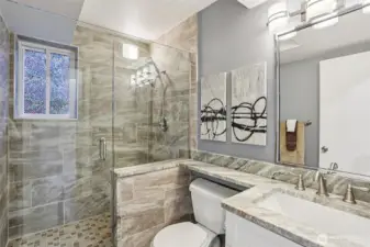 Lower level bathroom