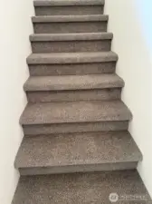 New carpet on stairs