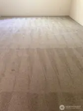New carpet in loft