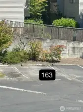 parking #163