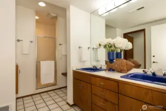 Lower level bathroom