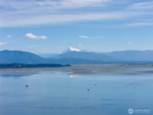 Mt Baker View
