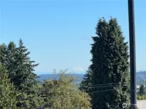 From the Rooftop Deck