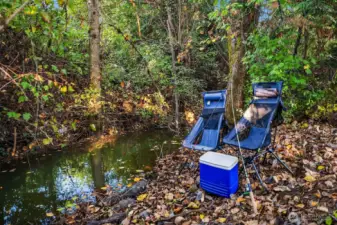 Small season nearby creek is great for exploring and relaxing! The fishing is great at Lake Wilderness (just a short walk from this home).