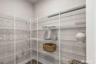 Plenty of storage space in the pantry!