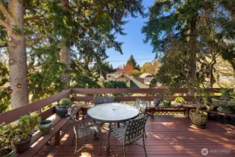 Large, private deck off the kitchen with amazing views of the Mt Rainier and the Olympics and overlooking the serene, park-like backyard
