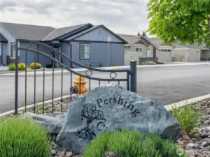 Development entry