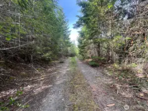 The easement road is well established and easy to navigate