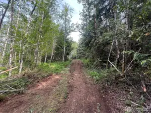 Lot 11 Clearing / Ridge footpath entrance road