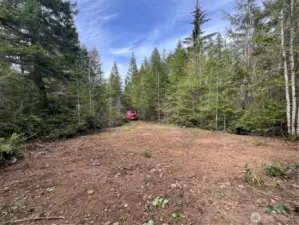 On the ground at the Lot 7 Clearing