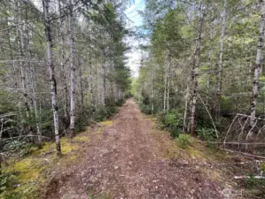 Upper loop road near lot 9/10