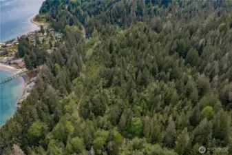You can see the easement road that runs through the trees - leading you easily through all 11 lots for easy viewing!