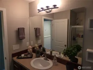 Primary Bedroom 1's Private Bathroom