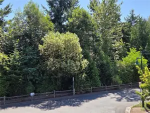 Plenty of Walking Trails