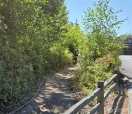 More Walking Trails.