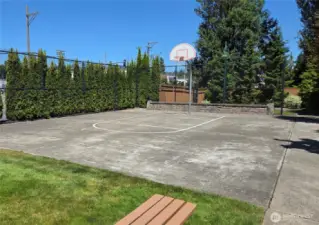 Perfect Sports Court