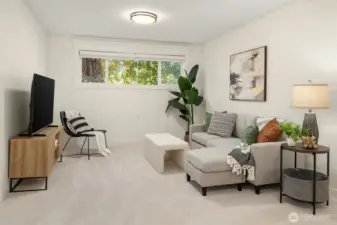 Large Bonus Room on Lower Level