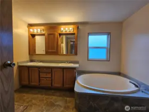 Spacious Master Bath