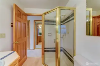 Primary Shower