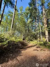 With "TRAILS" in the name, you will not be disappointed by the hiking right out your front door!