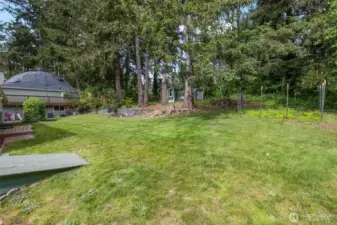 Huge yard with lots of space for gardens and more.