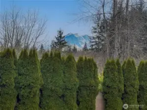 The view from the front porch