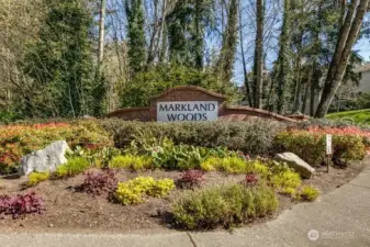 Welcome to Markland Woods