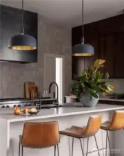 Dark Interior Kitchen