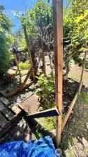 garden beds