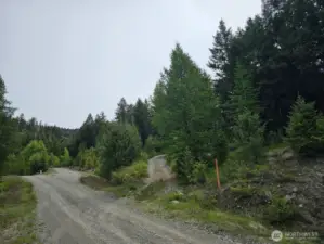 Driveway on right