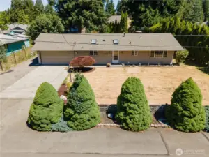 Large lot in Lacey