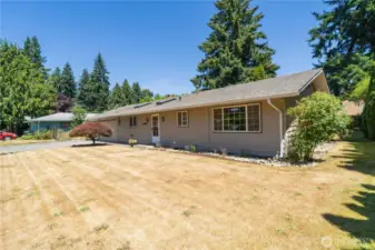 Spacious front yard